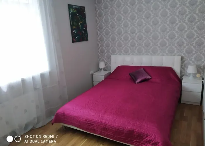 Аппартаменты В Центре Олайне Для Комфорта.